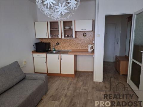 Pronájem bytu 1+kk, Děčín, Kamenická, 20 m2