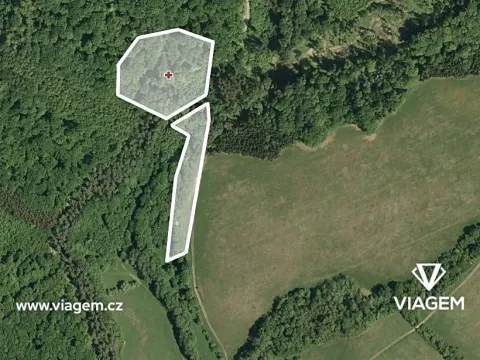 Prodej podílu pole, Velký Ořechov, 699 m2