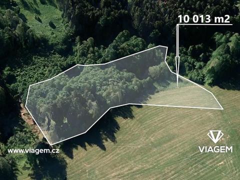 Prodej podílu lesa, Kaliště, 2503 m2