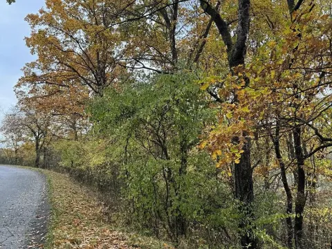 Prodej podílu pozemku, Chrášťany, 6084 m2