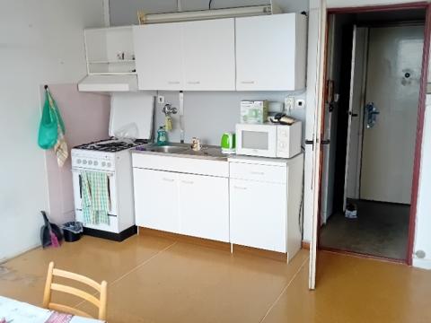 Prodej bytu 1+1, Tachov, Bělojarská, 40 m2