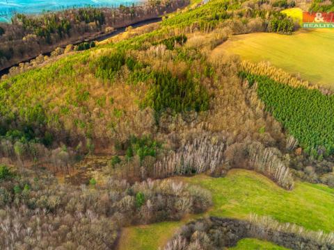 Prodej lesa, Dolní Třebonín - Štěkře, 5767 m2