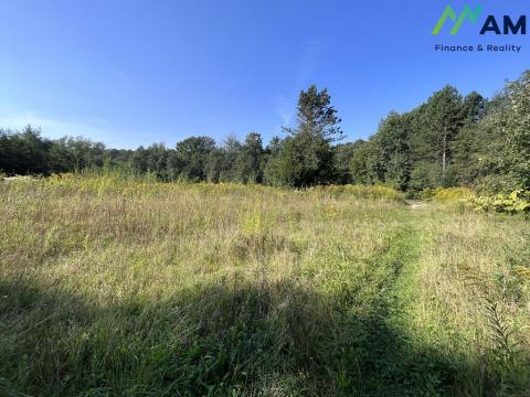 Prodej pozemku, Bystřice, 22458 m2