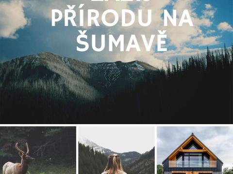 Prodej bytu 3+kk, Volary - Chlum, 110 m2