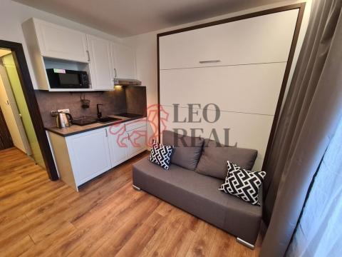 Pronájem bytu 1+kk, Praha - Suchdol, Suchdolské náměstí, 17 m2