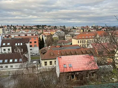 Pronájem bytu 1+1, Praha - Břevnov, Šlikova, 35 m2