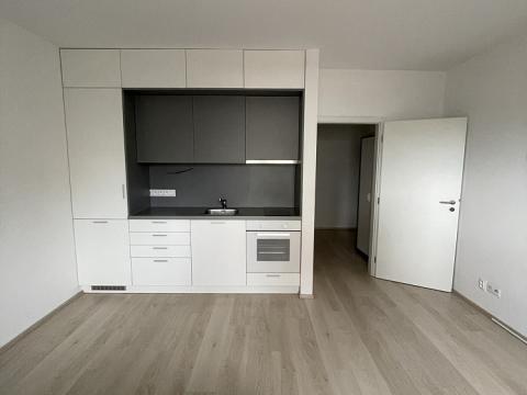 Pronájem bytu 1+kk, Plzeň - Severní Předměstí, Na Chmelnicích, 30 m2