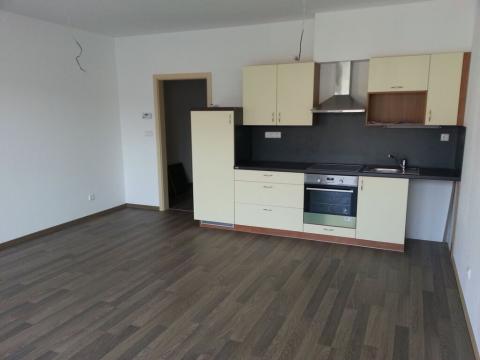 Pronájem bytu 1+kk, České Budějovice - České Budějovice 3, Fráni Šrámka, 38 m2