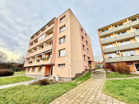 Pronájem bytu 2+1, Brno, Vlasty Pittnerové, 60 m2