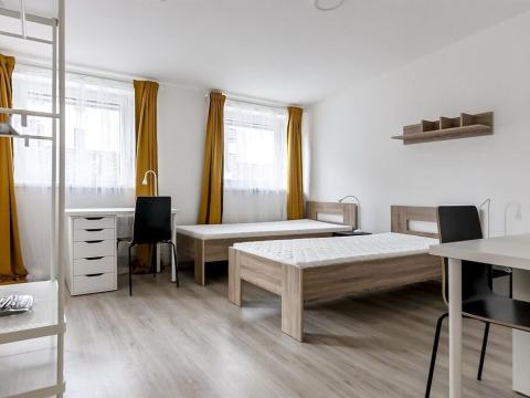 Pronájem bytu 1+kk, Brno, Václavská, 22 m2