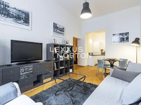 Pronájem bytu 2+kk, Praha - Staré Město, Bílkova, 51 m2