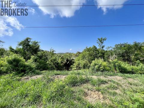 Prodej pozemku, Punta Gorda, José Santos Guardiola, Honduras, 716 m2