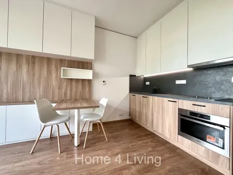 Pronájem bytu 1+kk, Brno, Trnitá, 48 m2