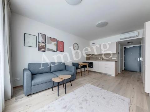 Pronájem bytu 1+kk, Praha - Karlín, Sokolovská, 28 m2