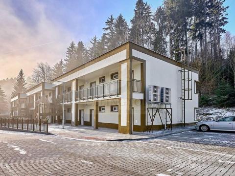 Pronájem bytu 1+kk, Ostrov - Horní Žďár, 26 m2