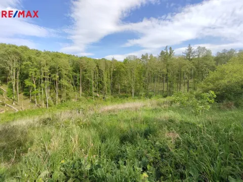 Prodej lesa, Číměř, 17681 m2