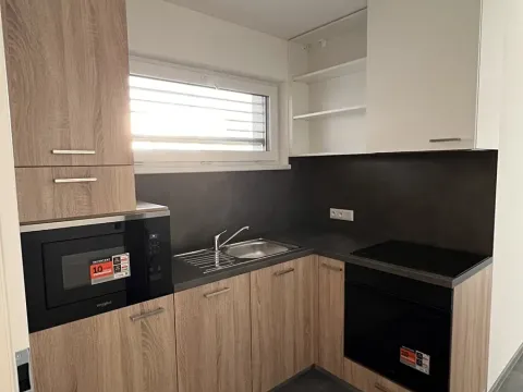 Pronájem bytu 1+kk, Znojmo, Třešňová, 21 m2