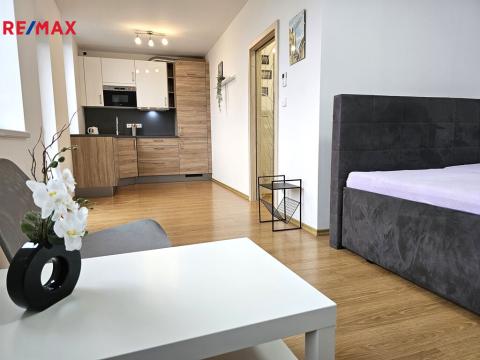 Pronájem bytu 1+kk, Olomouc, 17. listopadu, 36 m2