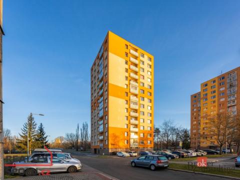 Pronájem bytu 1+1, Pardubice - Zelené Předměstí, nábřeží Závodu míru, 45 m2