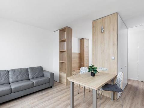 Pronájem bytu 1+kk, Praha - Záběhlice, Topolová, 31 m2