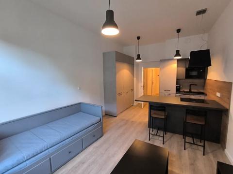 Pronájem bytu 1+kk, Praha - Žižkov, Chlumova, 31 m2