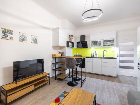 Pronájem bytu 2+kk, Praha - Žižkov, Žerotínova, 46 m2