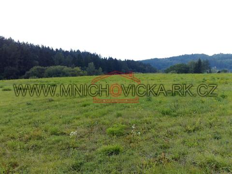 Prodej louky, Mnichovice, Hrusická, 27000 m2