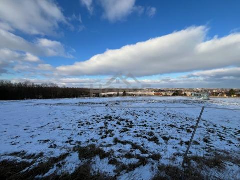 Prodej louky, Mezouň, 1507 m2