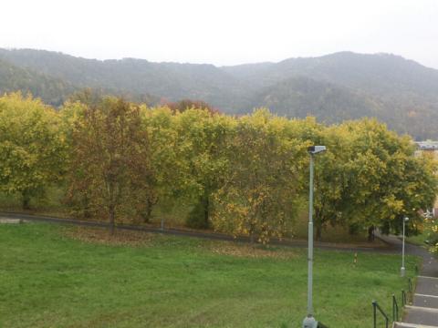 Prodej pozemku, Ústí nad Labem - Mojžíř, 2064 m2