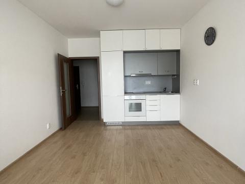 Pronájem bytu 2+kk, České Budějovice - České Budějovice 3, Jírovcova, 45 m2