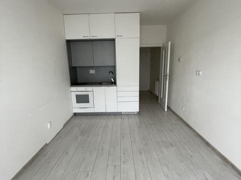 Pronájem bytu 1+kk, České Budějovice - České Budějovice 3, Jírovcova, 22 m2