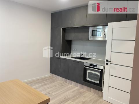 Pronájem bytu 1+1, Praha - Karlín, Thámova, 44 m2