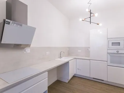 Pronájem bytu 2+kk, Praha - Nové Město, Opletalova, 80 m2