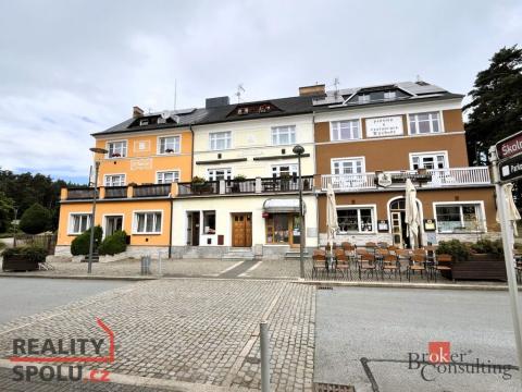 Prodej rodinného domu, Konstantinovy Lázně, Lázeňská, 250 m2