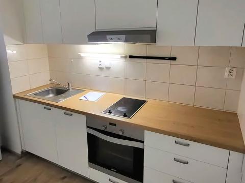 Pronájem bytu 1+kk, Brno, Stará, 44 m2