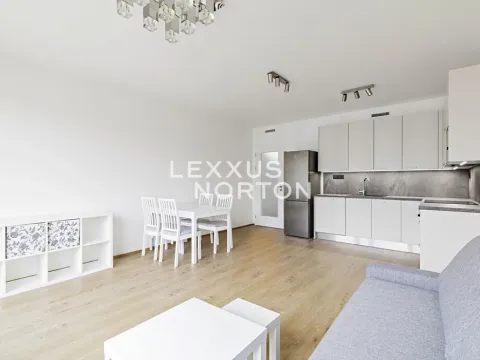 Pronájem bytu 2+kk, Praha - Vysočany, Stejnosměrná, 61 m2