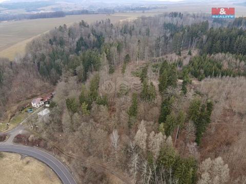 Prodej lesa, Ústí nad Orlicí - Oldřichovice, 2745 m2