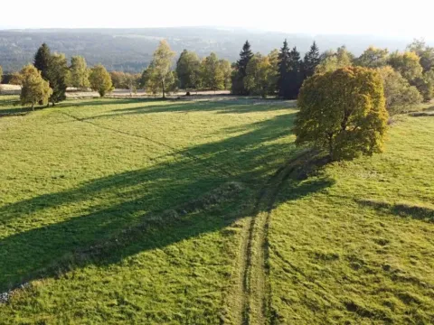 Dražba louky, Šindelová, 5003 m2