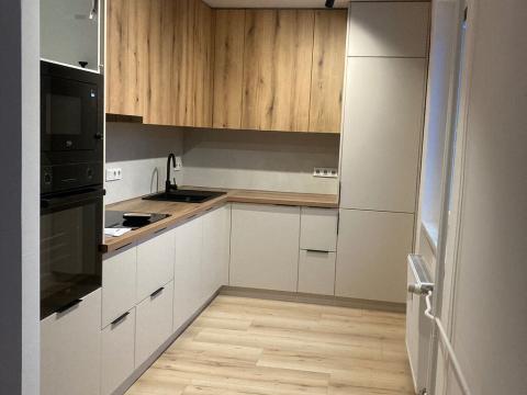 Pronájem bytu 2+kk, Ostrava, Opavská, 50 m2