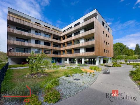 Pronájem bytu 1+kk, Plzeň - Východní Předměstí, Kartónová, 35 m2