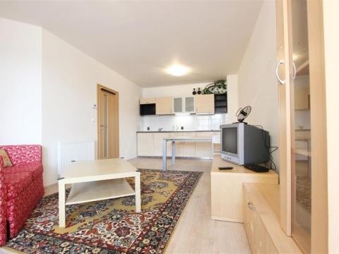 Pronájem bytu 1+kk, Brno, Bělohorská, 40 m2