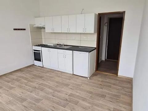 Pronájem bytu 1+kk, Jihlava, V Důlkách, 27 m2