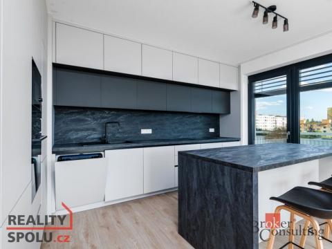 Pronájem bytu 4+kk, Plzeň - Jižní Předměstí, U Borského parku, 119 m2
