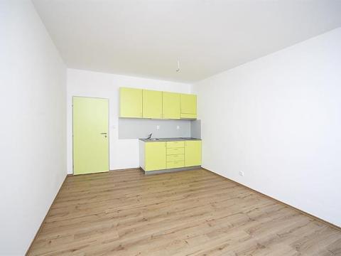 Pronájem bytu 1+kk, Brno, Rybářská, 32 m2