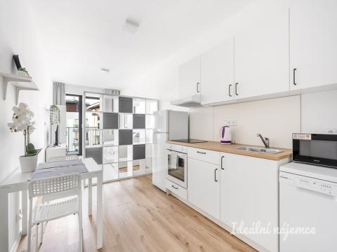 Pronájem bytu 1+kk, Praha - Kyje, Za černým mostem, 25 m2