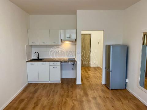 Pronájem bytu 1+kk, Praha - Braník, Nad lesním divadlem, 25 m2