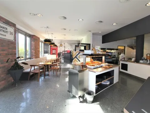 Pronájem obchodního prostoru, Praha - Jinonice, Pekařská, 285 m2