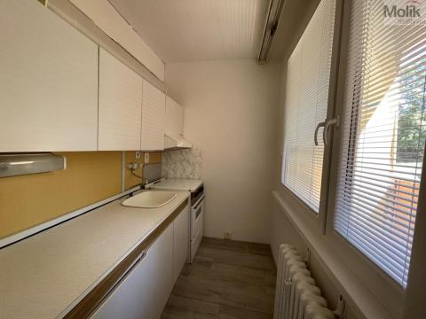 Pronájem bytu 1+kk, Bílina - Pražské Předměstí, Alšova, 27 m2