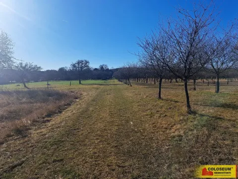 Prodej pole, Štěchov, 4979 m2
