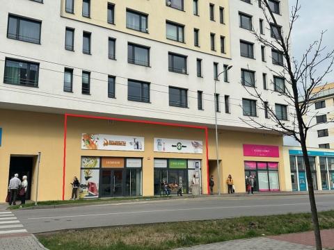 Pronájem obchodního prostoru, České Budějovice - České Budějovice 2, České Vrbné, 175 m2